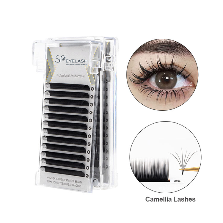 0,07 plateau de cils Camellia